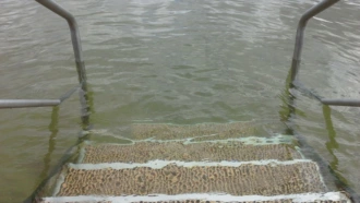 Записки из больничной палаты