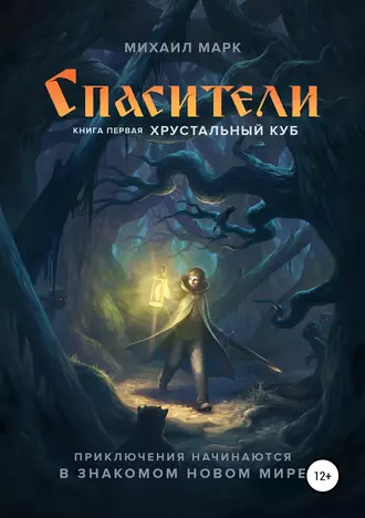 Спасители. Книга первая. Хрустальный куб