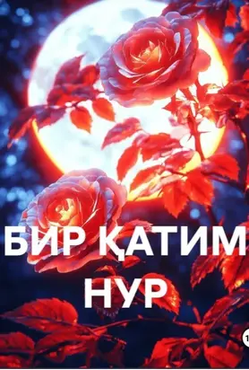 БИР ҚАТИМ НУР