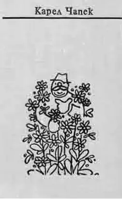 О воспалении надкостницы