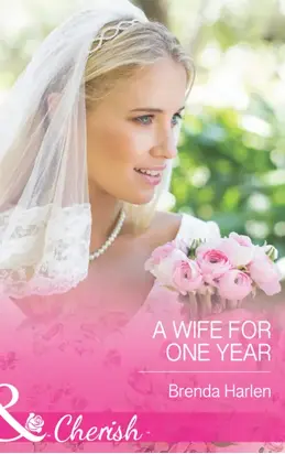 A Wife for One Year