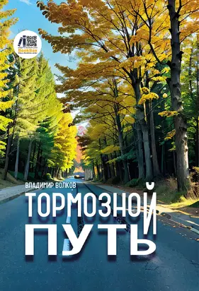 Тормозной путь