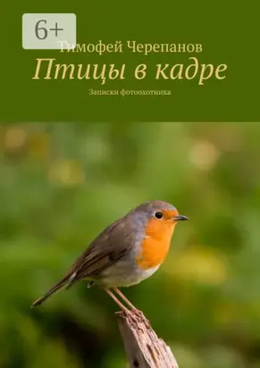 Птицы в кадре. Записки фотоохотника