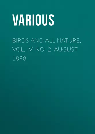 Birds and all Nature, Vol. IV, No. 2, August 1898