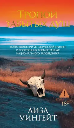 Тропой забытых душ