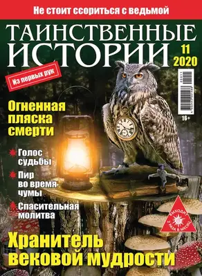Таинственные истории №11/2020