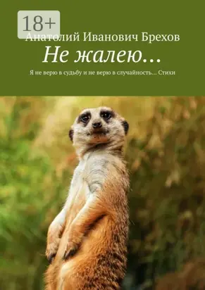 Не жалею… Я не верю в судьбу и не верю в случайность… Стихи