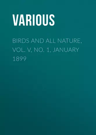 Birds and all Nature, Vol. V, No. 1, January 1899