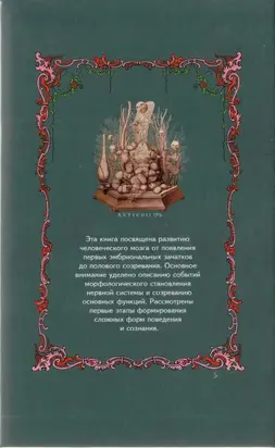 Морфология сознания