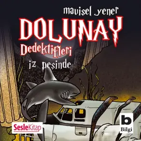 Dolunay Dedektifleri 1 – İz peşinde