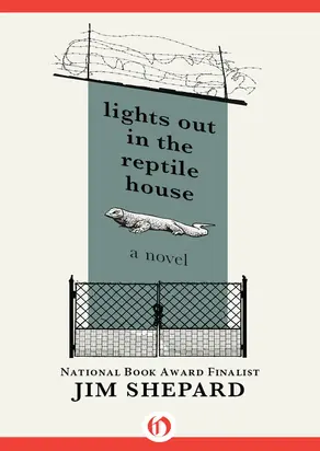 Lights Out in the Reptile House