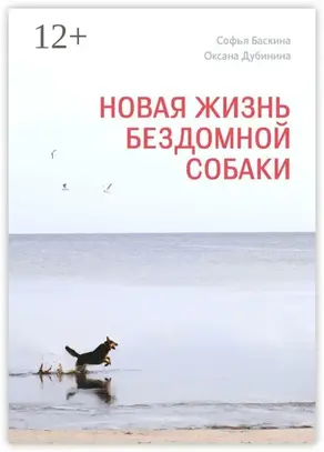 Новая жизнь бездомной собаки