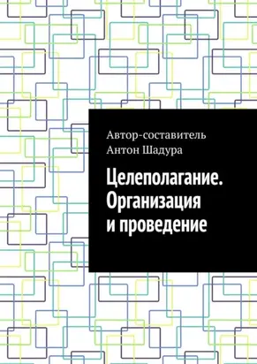 Целеполагание. Организация и проведение