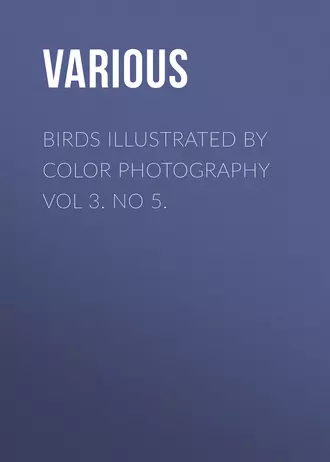 Birds Illustrated by Color Photography Vol 3. No 5.