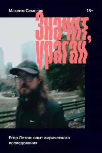 Значит, ураган. Егор Летов: опыт лирического исследования [litres]