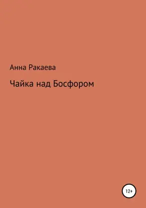 Чайка над Босфором