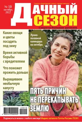 Дачный сезон №10/2022