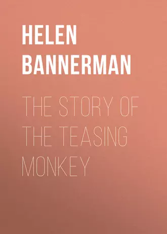 The Story of the Teasing Monkey