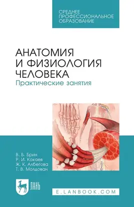 Анатомия и физиология человека. Практические занятия. Учебное пособие для СПО