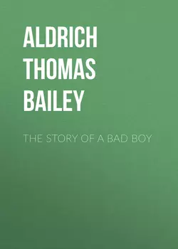 The Story of a Bad Boy