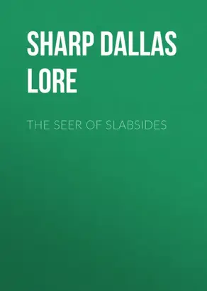 The Seer of Slabsides