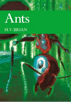 Ants