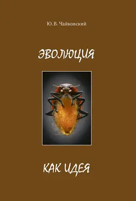 Мысы Ледовитого напоминают