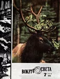 Преследование