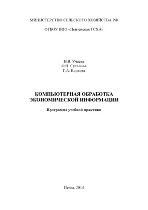 Компьютерная обработка экономической информации