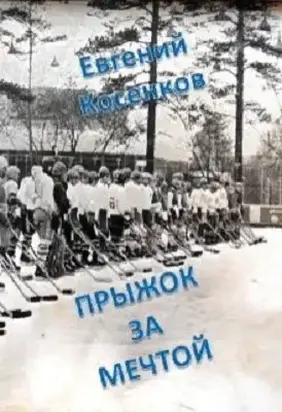 Прыжок за мечтой [litres самиздат]