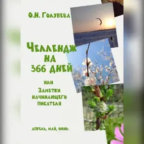 ЧЕЛЛЕНДЖ НА 366 ДНЕЙ или Заметки начинающего писателя. Часть 2