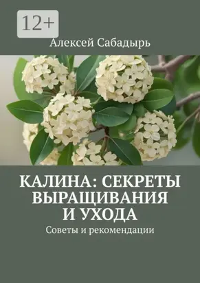 Калина: секреты выращивания и ухода. Советы и рекомендации