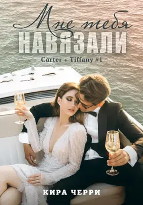 Мне тебя навязали