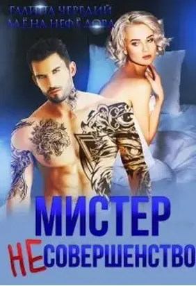 Мистер Несовершенство [СИ]
