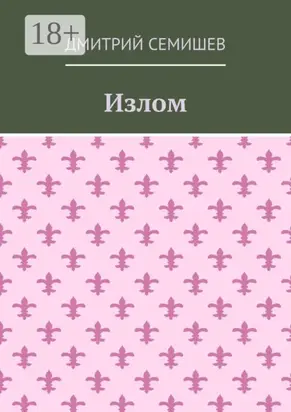 Излом. Роман