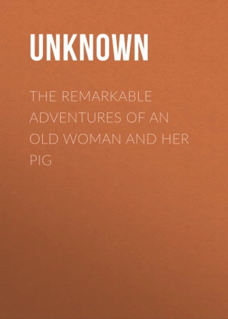The Remarkable Adventures of an Old Woman and Her Pig