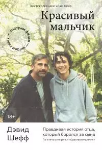 Красивый мальчик. Правдивая история отца, который боролся за сына [litres]