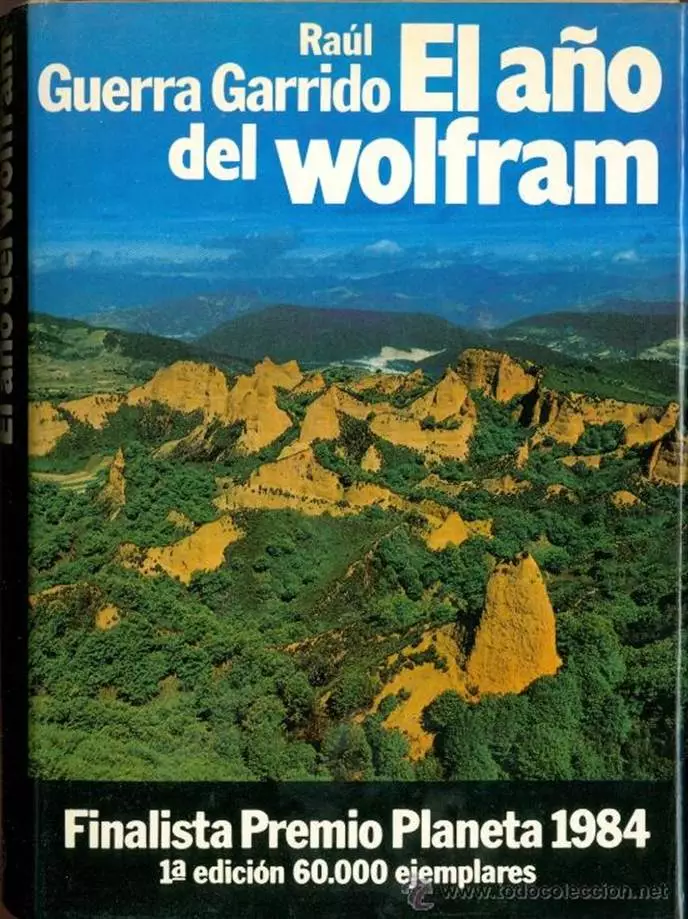 El Año Del Wolfram
