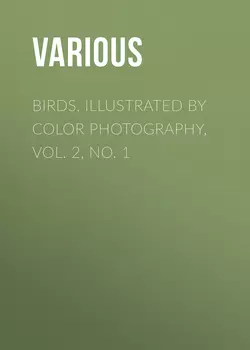 Birds, Illustrated by Color Photography, Vol. 2, No. 1