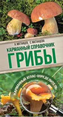 Грибы. Карманный атлас-определитель