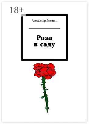 Роза в саду