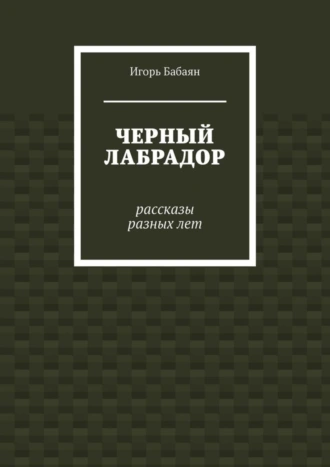 Черный лабрадор