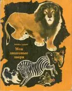 Чико и его друзья