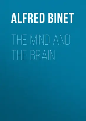 Больше, чем 5 соток. Как на маленьком участке получить максимум урожая