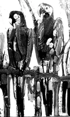 Хайде, път на младите!