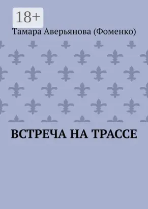 Встреча на трассе