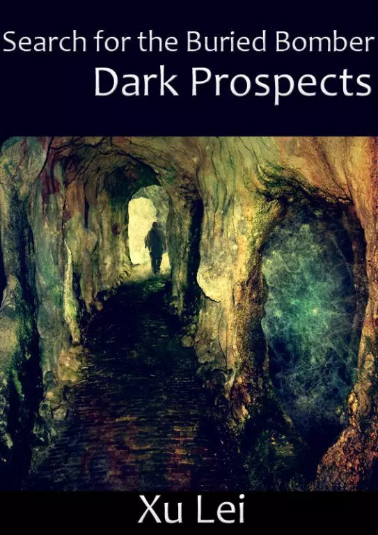 Search for the Buried Bomber