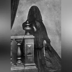 Аппарат Ноэля Бакстера. Глава II. Дама со снятой головой.