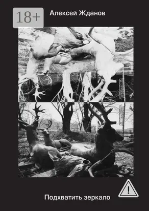 Подхватить зеркало. Роман с самим собой