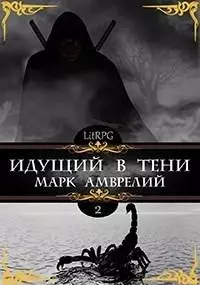 Идущий в тени. Книга 2 (СИ)